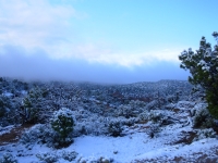 Navajo NM in the Snow